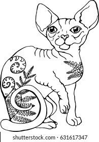 Vector illustration of a cat. Black and white portrait of a cat. Stylized Canadian Sphynx