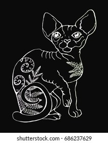 Vector illustration of a cat. Black and white portrait of a cat. Stylized Canadian Sphynx. Chalk on a blackboard