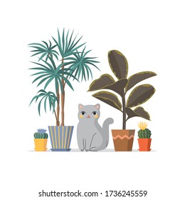 Vector illustration with cat, cactus, palm tree,  plants. Flat design. Great for postcards, prints, posters, stickers, etc.