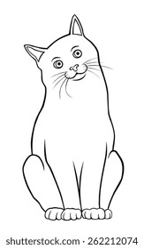 Vector illustration of cat cartoon style