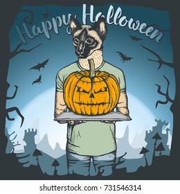 Vector illustration of cat celebrating Halloween. Cat with Halloween pumpkin