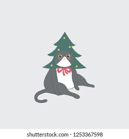 Vector illustration: a cat with christmas tree. Christmas is coming.