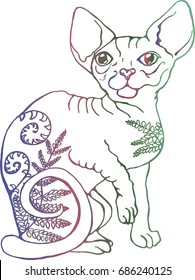Vector illustration of a cat. Colorful portrait of a cat. Stylized Canadian Sphynx