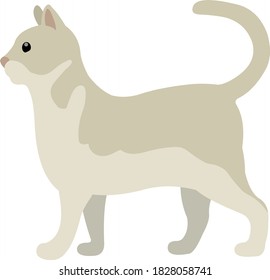 Vector illustration of a cat emoticon