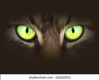 Vector illustration. Cat eyes look at you out of the darkness.