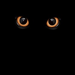 Vector Illustration Of Cat Eyes On Black Background.