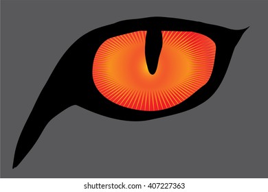 Vector illustration of cat eyes on white background.