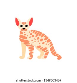 Vector illustration of cat in a flat style isolated on background