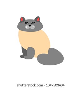 Vector illustration of cat in a flat style isolated on background
