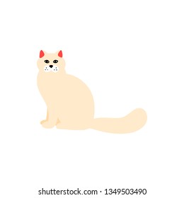 Vector illustration of cat in a flat style isolated on background