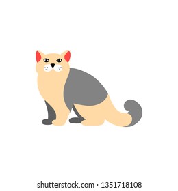 Vector illustration of cat in a flat style isolated on background