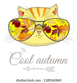 Vector illustration. Cat in glasses. Cool autumn. Sketch of the arrows, crown. Autumn illustration. Reflection of leaves in glasses.