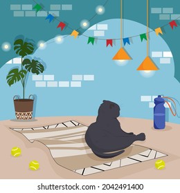 Vector illustration cat and gymnastics