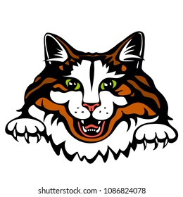 Vector illustration of cat head color version. Tattoo style