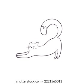 Vector illustration. A cat isolated on white background.