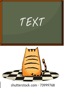  Vector Illustration cat looking at blackboard.