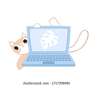 Vector illustration of cat lying and playing behind laptop isolated on white. 