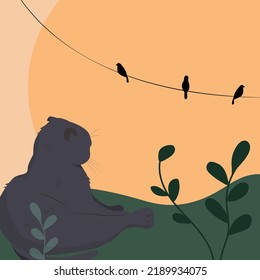 Vector illustration the cat meditates