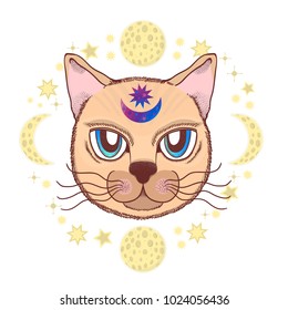 Vector illustration with a cat, moon, stars. Magical and fairy. Suitable for postcards, printing, posters, textiles Cartoon style