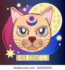 Vector illustration with a cat, moon, stars. Magical and fairy. Suitable for postcards, printing, posters, textiles Cartoon style