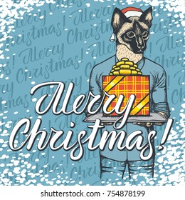 Vector illustration of cat on Christmas with gift. Cat with lettering Merry Christmas