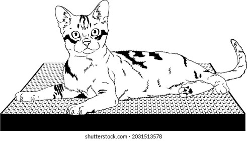 vector illustration. The cat on the couch. Cat on a scratching post. Cat. The cat is lying. Illustration.
