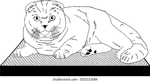 vector illustration. The cat on the couch. Cat on a scratching post. Cat. The cat is lying. Illustration.

