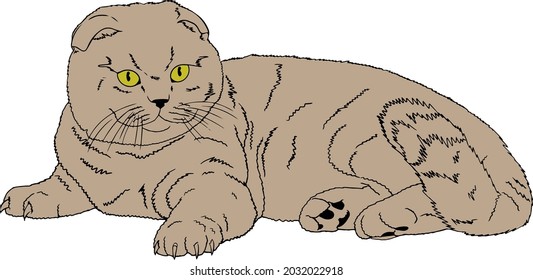 vector illustration. The cat on the couch. Cat on a scratching post. Cat. The cat is lying. Illustration.
