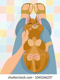 Vector illustration of cat on the lap of mistress