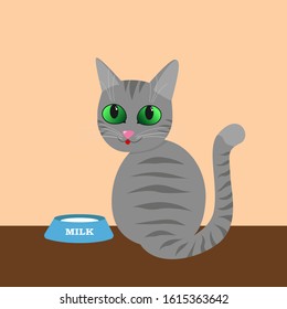 Vector illustration of a cat on a peach background.
