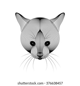 Vector illustration of cat on white background.