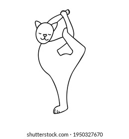 Vector illustration with a cat performing gymnastic exercises. cartoon cat in a yoga pose in doodle style.