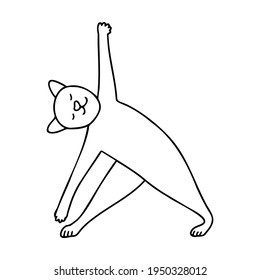 Vector illustration with a cat performing gymnastic exercises. cartoon cat in a yoga pose in doodle style.