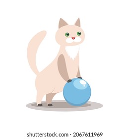 vector illustration, a cat playing with a ball, a pet on a white background
