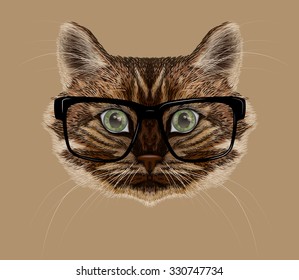 Vector illustration of cat portrait