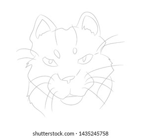vector illustration cat portrait, lines, vector, white background, cat portrait