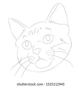 vector illustration cat portrait, lines, vector, white background, cat portrait