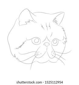 vector illustration cat portrait, lines, vector, white background, cat portrait