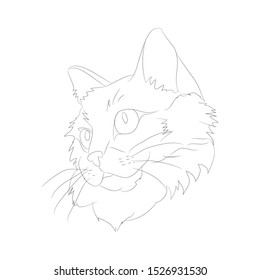 vector illustration cat portrait, lines, vector, white background, cat portrait