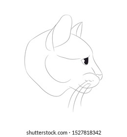 vector illustration cat portrait, lines, vector, white background, cat portrait