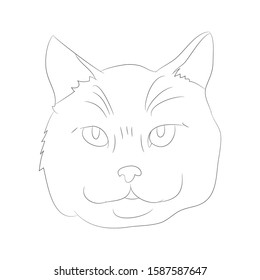 vector illustration cat portrait, lines, vector, white background, cat portrait