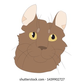 vector illustration cat portrait, vector, white background, color drawing