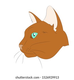 vector illustration cat portrait, vector, white background, color drawing