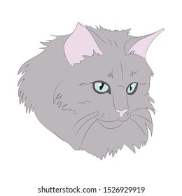 vector illustration cat portrait, vector, white background, color drawing