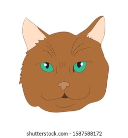 vector illustration cat portrait, vector, white background, color drawing