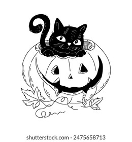 Vector illustration of a cat in a pumpkin for Halloween handraw