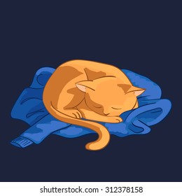 Vector illustration of cat. Red cat sleeping on blue sweater.