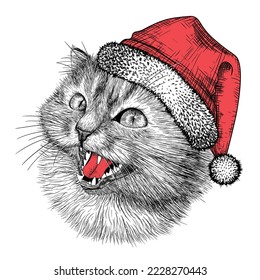 Vector illustration of a cat in a santa hat in engraving style