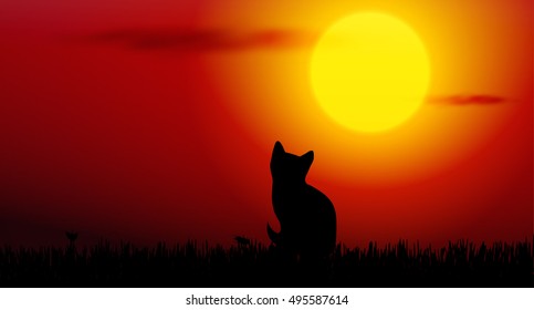 Vector illustration of cat silhouette on sunset