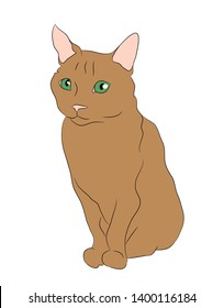 vector illustration cat sitting in color, vector, white background